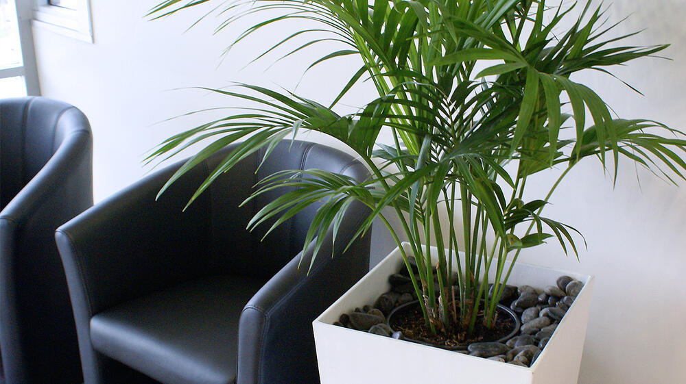 Artificial Plant Factory from China